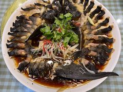 -京北渔家傲