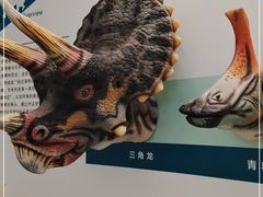 -安徽省地质博物馆