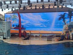 -三亚海昌梦幻海洋不夜城