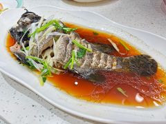 -巧克力渔家.小船海鲜胶东菜(万平口店)