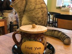 -李小姐の猫咖啡馆(五角场店)