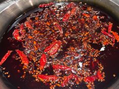 -大龙火锅(老店)