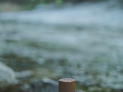 -沣峪口