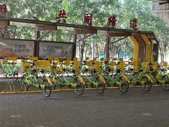 -长白岛森林公园