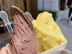 -野人先生现做冰淇淋(西安赛格店)