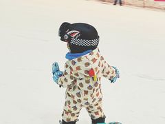 -哈尔滨热雪奇迹