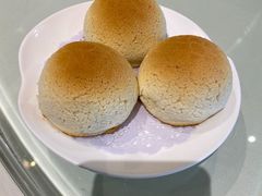 雪顶雄峰-利苑酒家(金宝店)