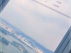 -紫峰大厦