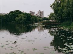 -新江湾城公园