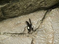 -小七孔景区-六十八级跌水瀑布