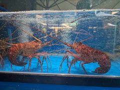 -熙楼(翠湖店)