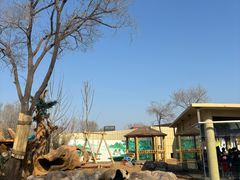 -秦皇岛野生动物园