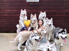 -TrueLove @ Neverland (Husky Cafe)