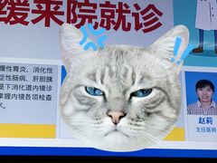 -北京医院