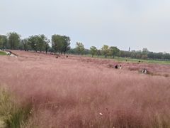 -汉长安城未央宫国家考古遗址公园