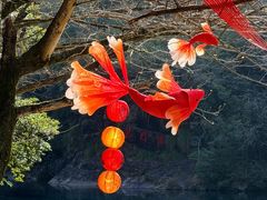 -石台牯牛降景区