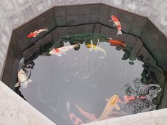 -西安市广仁寺