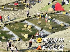 -光明小镇欢乐田园