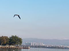 -西昌邛海宾馆