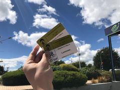 -怀托摩萤火虫洞