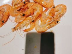 -老伙记海鲜码头(北滘店)