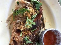 -Doo Dee Thai Food(Issan/Isaan/Esan)