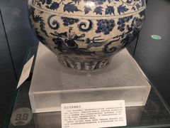 -广西壮族自治区博物馆