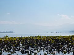 -西昌邛海湿地