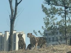 -太原动物园