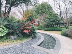 -航空小镇温泉