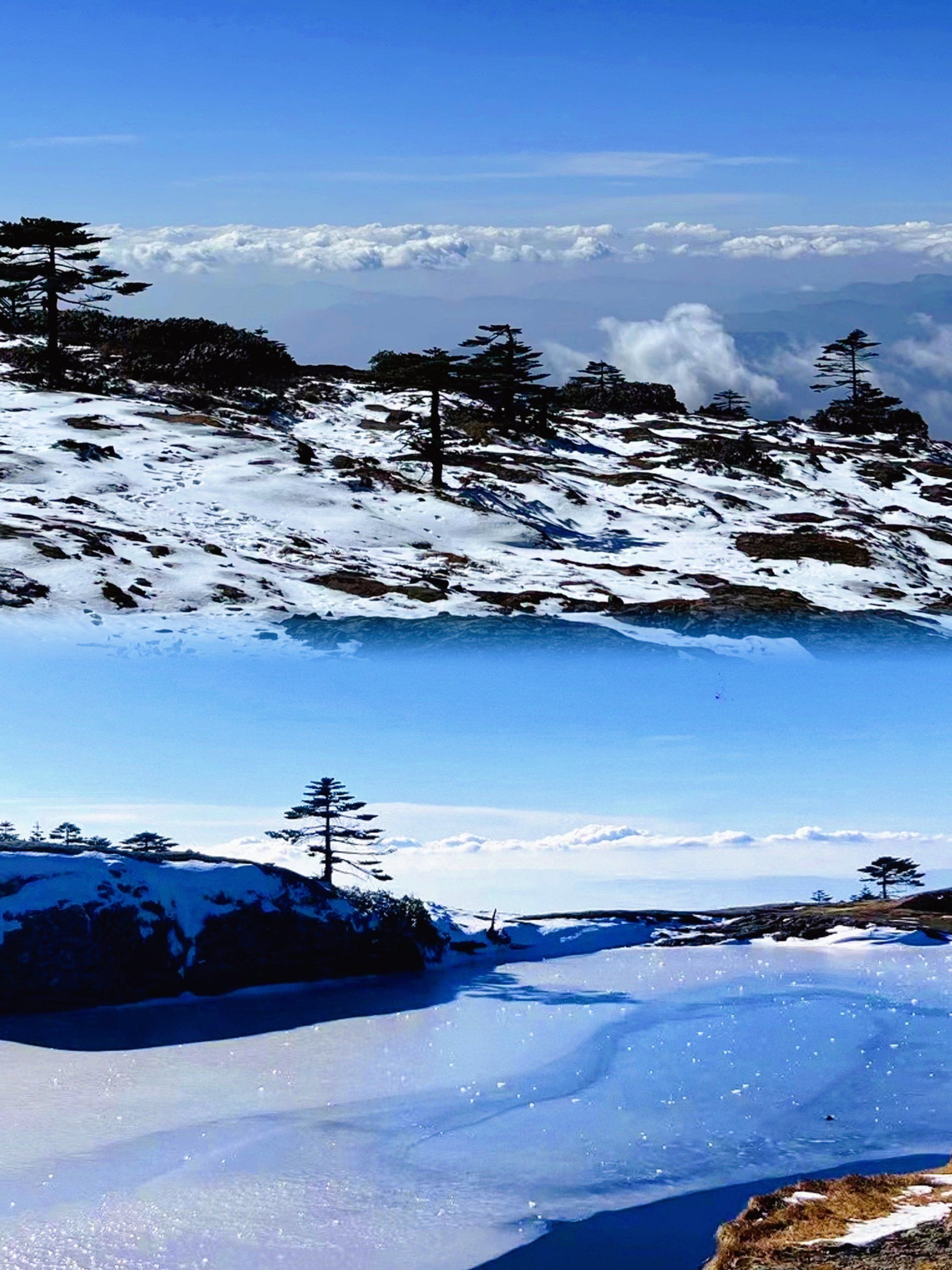 云南轿子雪山赏雪景攻略|凉山行5
