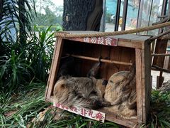 -乐和乐都主题乐园
