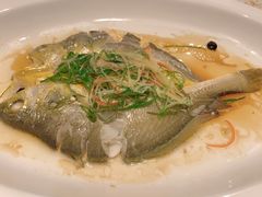 -金汤宴餐厅·粤菜(德云社店)