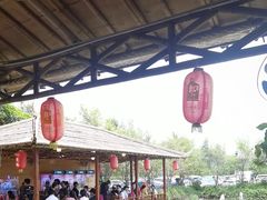 -一煲鸽