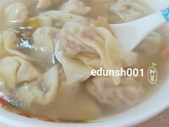 原味鲜肉水饺-谈炎记水饺大王(利济北路店)