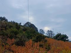 -妙峰山风景名胜区