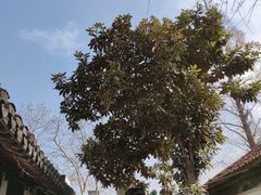 -南通濠河风景名胜区