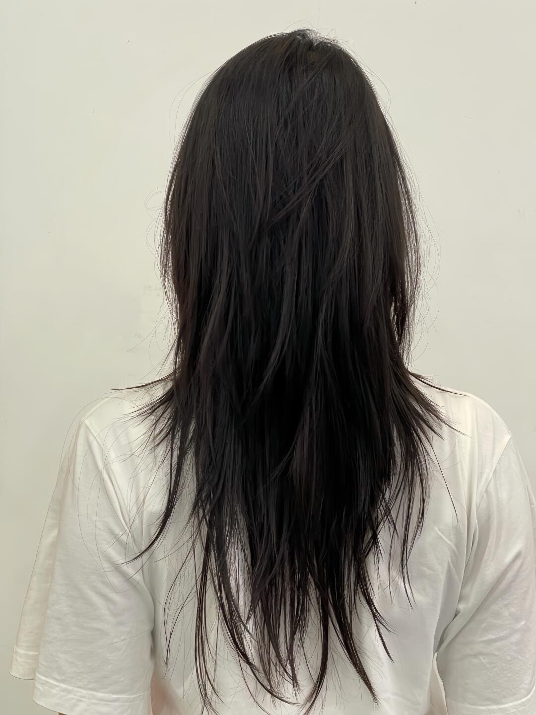 高层次长款鲻鱼头