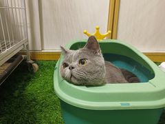 -瑞派申生动物医院·24H夜诊·国际动物医疗中心·骨外科(吴中路店)