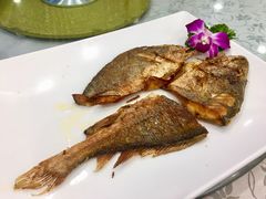 -新塘畔酒楼(里水大道北店)