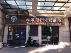 -美联众合宠物医院·爱萌分院·内外科·猫科中心
