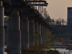 -绿堤公园