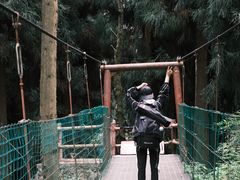 -九峰山
