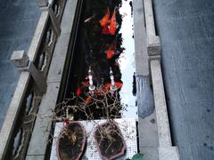 -唔呶喔哩酒家(生产街店)