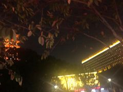 -中国沉香文化博物馆