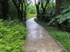 -昆山城市生态森林公园