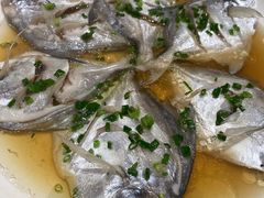 -阿莉餐厅(枣阳路店)