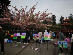 -四川大学(华西校区)