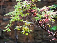 -周口店坡峰岭风景区
