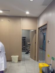 -碧莲盛不剃发植发